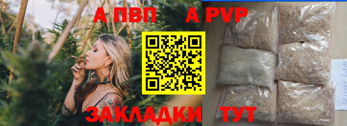 Альфа ПВП СК Назрань