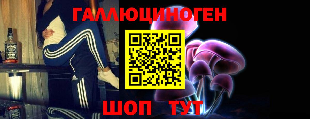 Назрань  Галлюциногенные грибы прущие грибы  Вход с VPN 